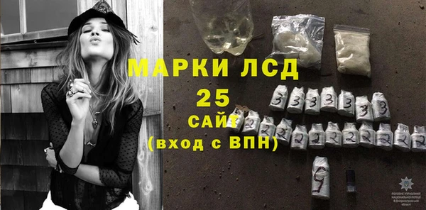 PSILOCYBIN Алзамай