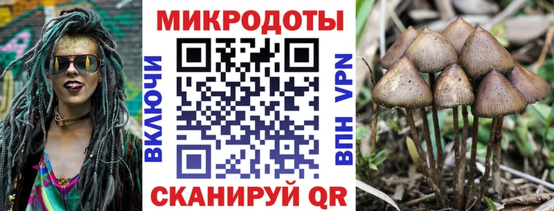 Псилоцибиновые грибы GOLDEN TEACHER  сколько стоит  Шенкурск 