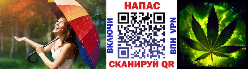 дарнет шоп  Шенкурск  МАРИХУАНА Amnesia 